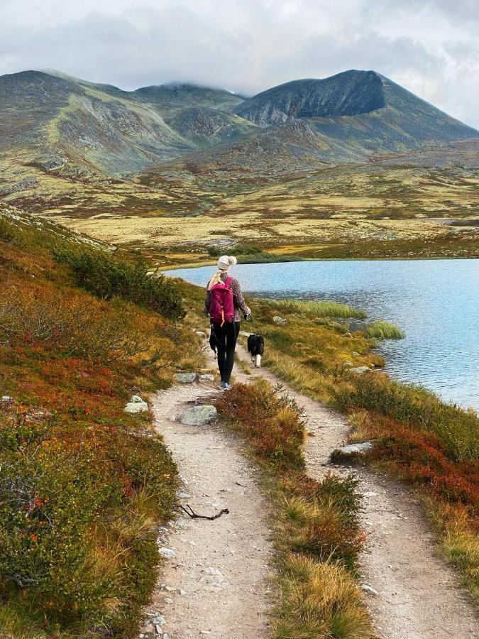 Hogfjellshotell Hotell Høvringen