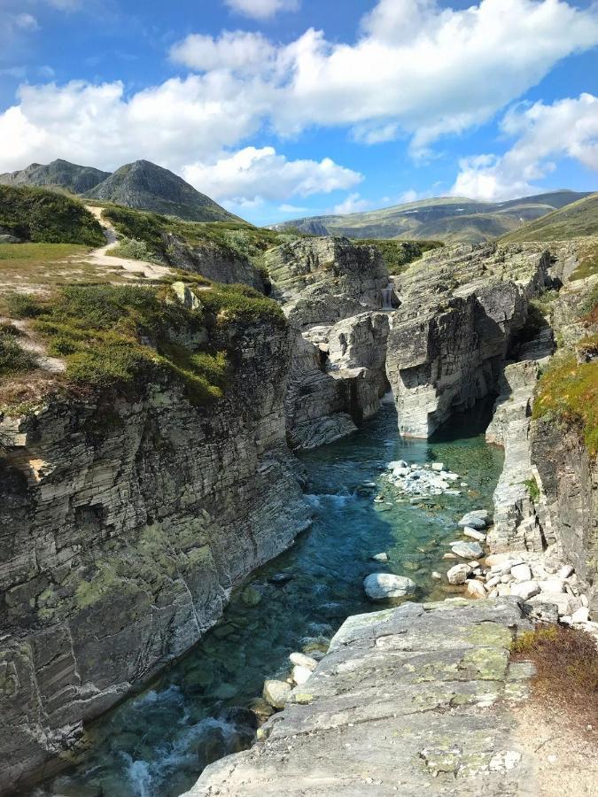 Hotell Hogfjellshotell *