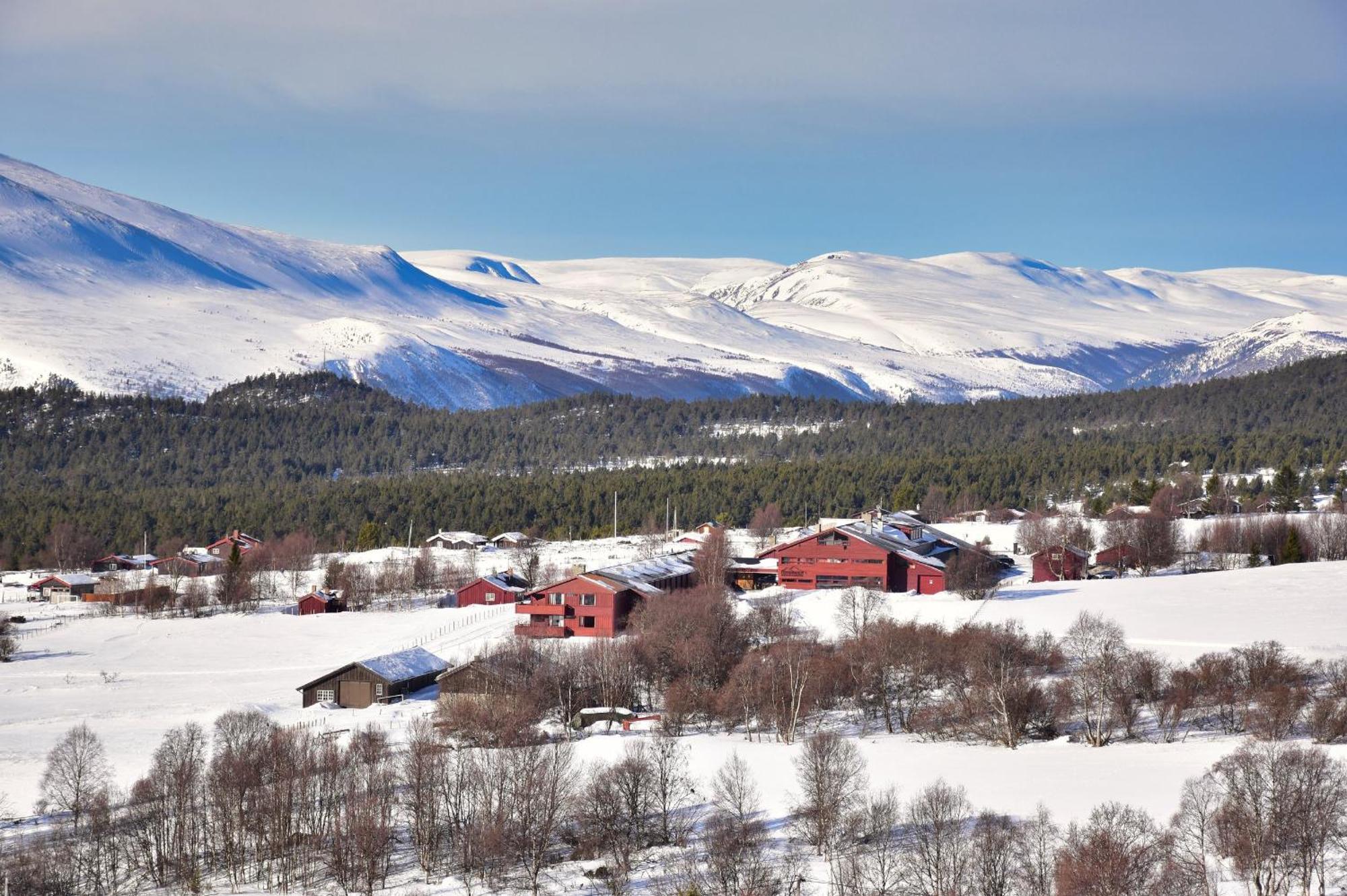 Hogfjellshotell *