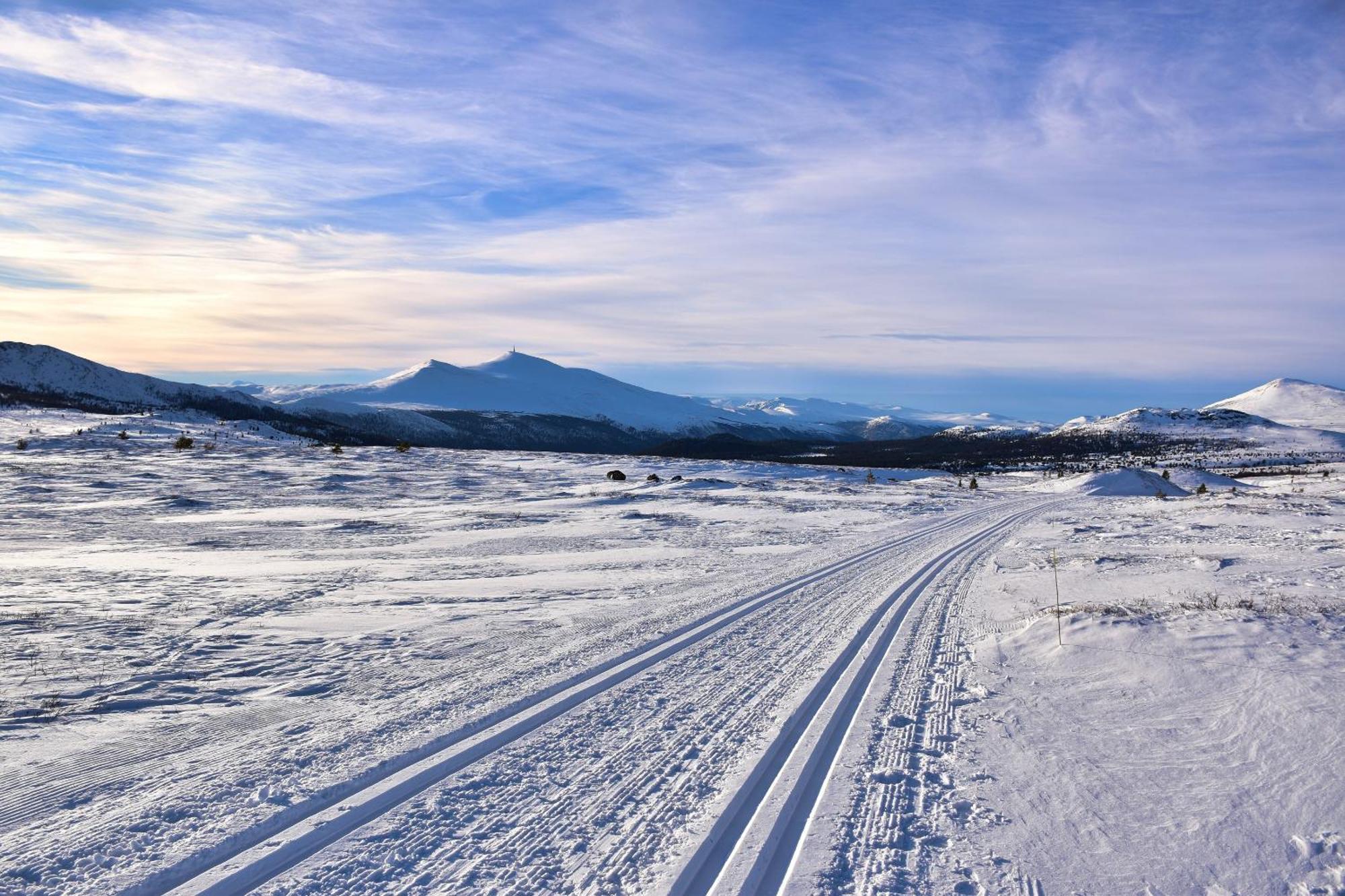 Hogfjellshotell * Høvringen